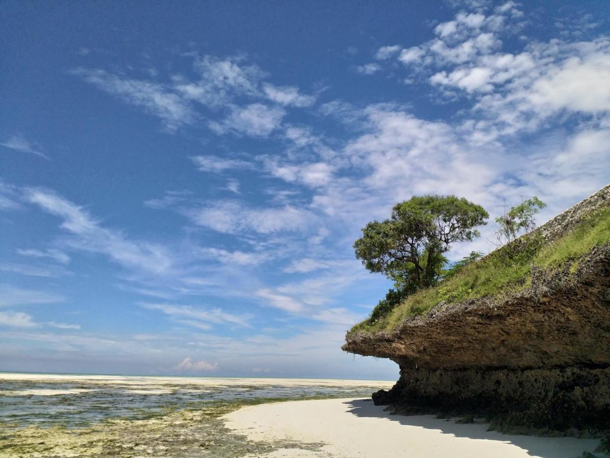 גאמביאני Beachfront Villa Ladha Ya Zanzibar מראה חיצוני תמונה